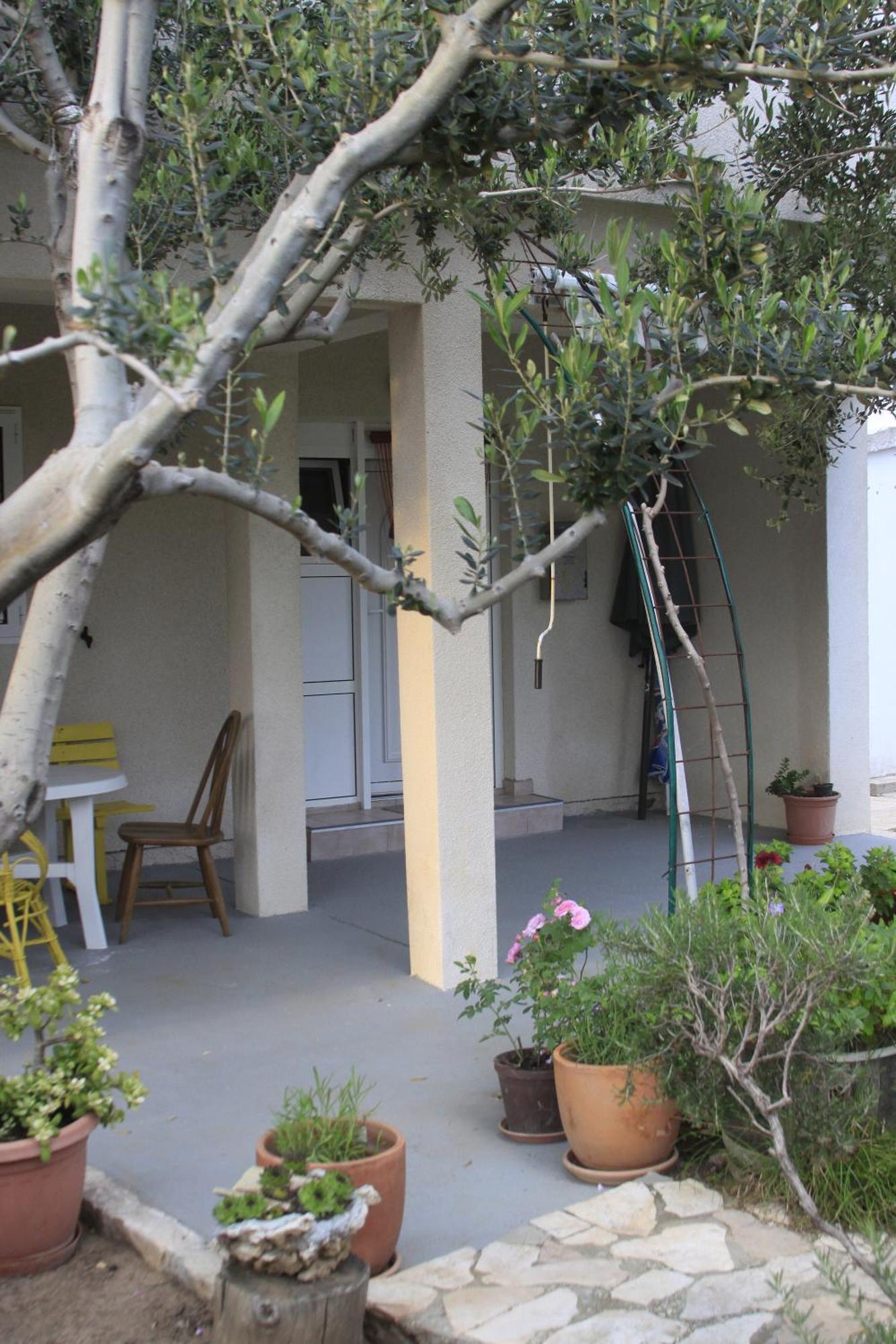Apartments Biba & Lucy Ražanac Rom bilde